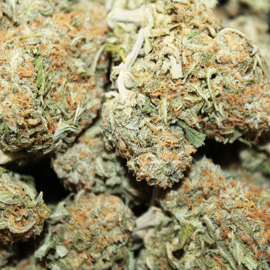 Order Critical Kush Online Canada - Top Dispensary