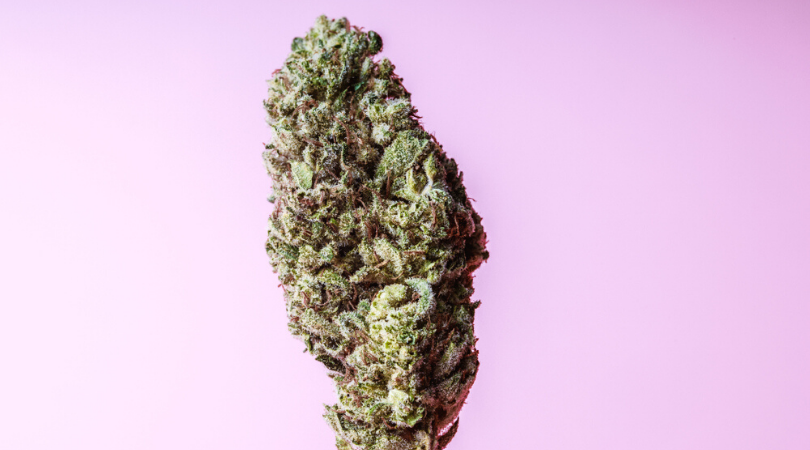 4 Best High CBD Low THC Marijuana Strains