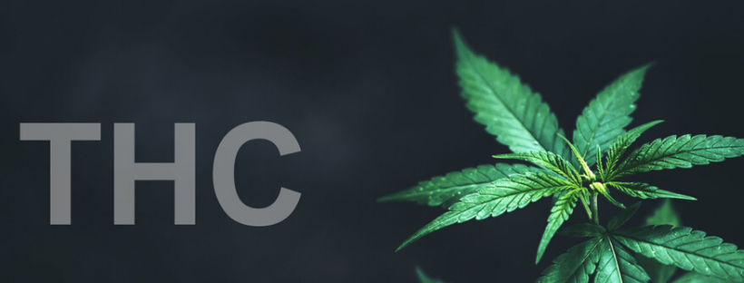 When Should You Use THC